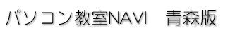 �p�\�R������NAVI �X��